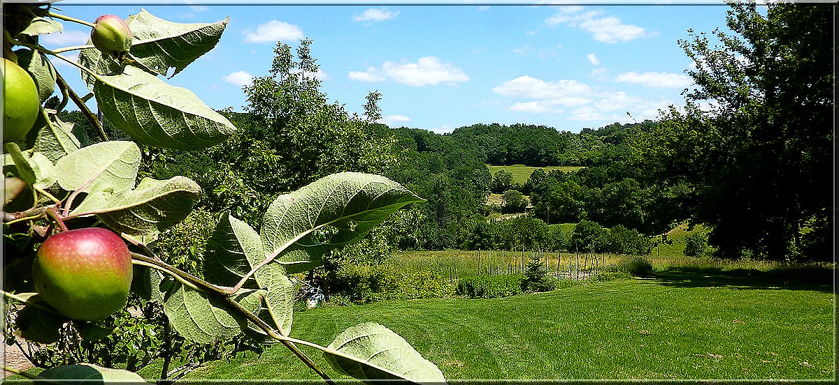 pomme puycelsi 26062013